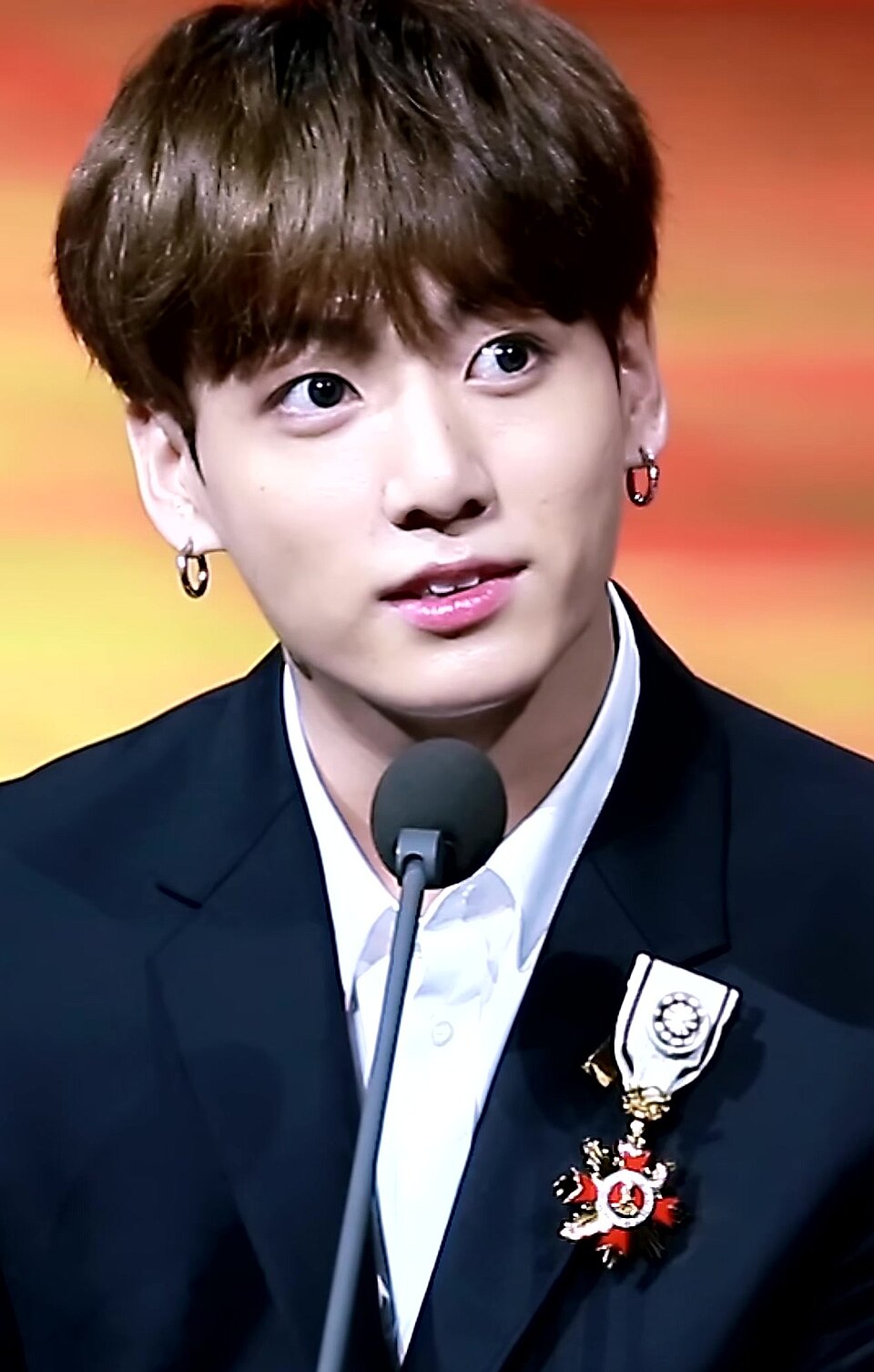 Jungkook receiving the Order of Cultural Merit